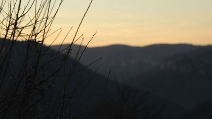 "Le 13h chez vous" : voyage au cœur des Cévennes  (FRANCE 2)