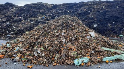 Le compost récupéré sur la plateforme de la société Racine (dans son état de départ au premier plan, puis en fermentation au second plan) (MATHILDE IMBERTY / RADIOFRANCE)