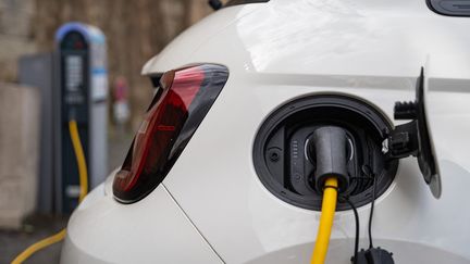 The proposed law provides for a fine of up to 5,000 euros per very low-emission vehicle failing to achieve the objective set by the law.  (JEAN-MARC BARRERE / HANS LUCAS via AFP)