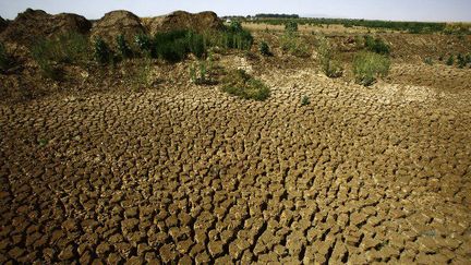 Une vue générale de terres arides et sèches au nord d'El-Fasher, dans l'Etat du Nord-Darfour au Soudan, le 9 février 2017 (Photo AFP/Ashraf Shazly)