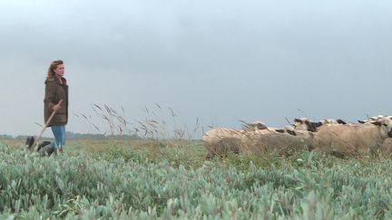 Rencontre avec Laure, bergère en Baie de Somme. (CAPTURE D'ÉCRAN FRANCE 3)