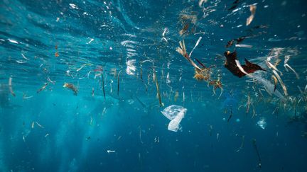 Des déchets plastiques flottent&nbsp;dans les eaux de l'île Cebu&nbsp;(Philippines), le 31 janvier 2020. (BRENT DURAND / MOMENT RF / AFP)