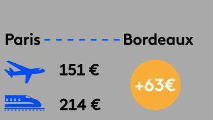 VRAI OU FAUX. L’avion est-il moins cher que le train ? (franceinfo)