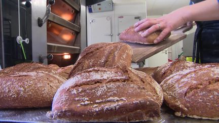 Le "Painbaillaux", pain complet 100% local fabriqué à Combaillaux dans l'Hérault. (CAPTURE D'ÉCRAN FRANCE 3)