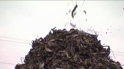 Des batteries de Lithium-ion présentes dans plusieurs objets du quotidien peuvent s'avérer très dangereuses lorsqu'elles sont mises en déchetteries.&nbsp; (CAPTURE ECRAN FRANCE 2)