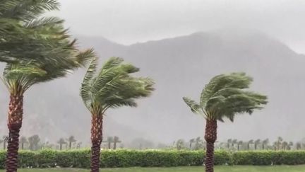 États-Unis : l’ouragan Hilary met la Californie sous les eaux (France 2)