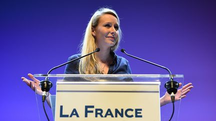 La candidate FN en Provence-Alpes-Côte d'Azur, Marion Maréchal-Le Pen, en meeting à Toulon (Var), le 1er décembre 2015. (BORIS HORVAT / AFP)