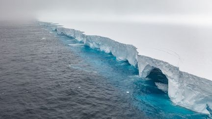 La dérive du plus gros iceberg du monde menace la biodiversité d'une petite île britannique de l'Antarctique