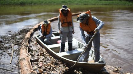 Les chercheurs récoltent les poissons morts dans la membrane de rétention installée sur la rivière Paraopeba, à Juatuba dans l'Etat de Minas Gerais, le 18 mars 2019.&nbsp; (DOUGLAS MAGNO / AFP)