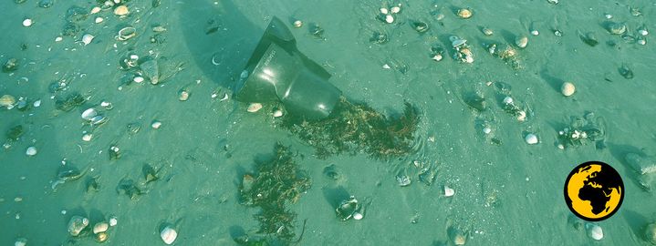 Un plot en plastique provenant d'une exploitation de moules de bouchot, dans la baie du Mont-Saint-Michel. (DR)