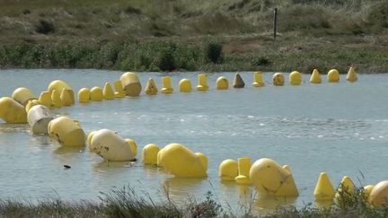 Immigration : un barrage flottant installé à Étaples (FRANCE 3)