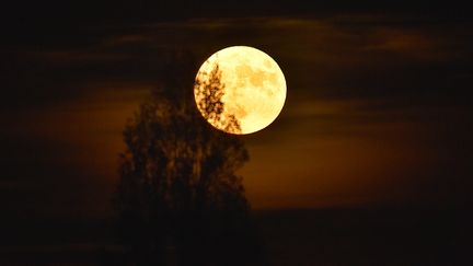 Si les Parisiens n'ont pas eu de chance, le temps était plus clément à Vertou (Loire-Atlantique) et a ainsi permis d'admirer la "super Lune", le 14 novembre 2016. (LOIC VENANCE / AFP)