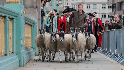 L'acteur britannique Damian Lewis sur Southwark Bridge à Londres, guidant un troupeau de moutons, dimanche 29 septembre 2024. (WIKTOR SZYMANOWICZ/ANADOLU/AFP)