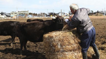 Naoto Matsumura, 53 ans, tomioka. f&eacute;vrier 2013. A refus&eacute; de partir et nourri d&eacute;sormais ses 50 vaches, deux chats, un chien et deux autruches (RUAIRIDH VILLAR / REUTERS )