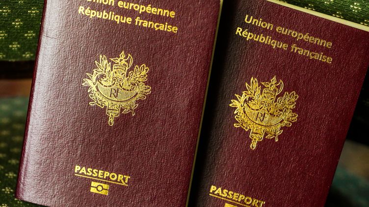 Passeports Diplomatiques D Alexandre Benalla Cela Se Justifie Pour Quelqu Un Qui Fait Beaucoup De Deplacements A L Etranger