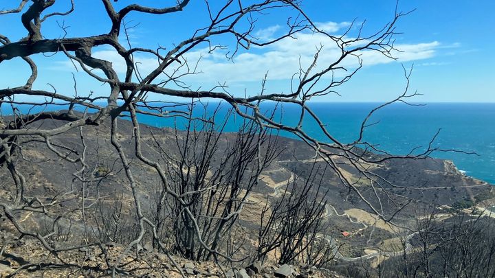 Les dégâts de l'incendie à Cerbère (Pyrénées-Orientales), le 17 avril 2023. (WILLY MOREAU / RADIO FRANCE)