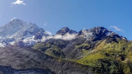 Takakia, la plus vieille mousse du monde, vit dans certains des endroits les plus reculés du monde, comme les montagnes de l'Himalaya. (Dr. Ruoyang Hu / Cell)