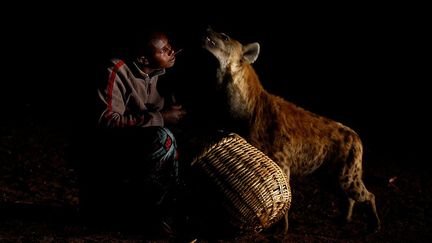 A Harar, la hyène est la meilleure amie de l’homme. (TIKSA NEGERI / REUTERS)