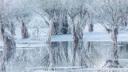 Photo hebdo : dans le nord de l’Italie, un lac de glace et ses reflets élu photo de l’année