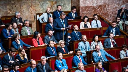 Le député du Rassemblement national&nbsp;Grégoire de Fournas, le 26 juillet 2022 à l'Assemblée nationale. (AMAURY CORNU / HANS LUCAS / AFP)