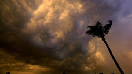 Un nuage noir porteur d'espoir pour Calcutta (Inde), victime de la canicule depuis plusieurs semaines, le 9 juin 2012. (PIYAL ADHIKARY / MAXPPP)