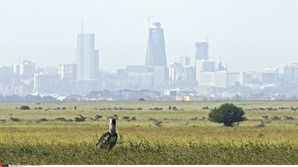 La ville de Nairobi dans la brume dûe à la chaleur. (CATERS NEWS AGENCY/SIPA / CATERS NEWS AGENCY)