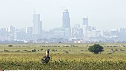 Entreprises : le nouvel eldorado kenyan