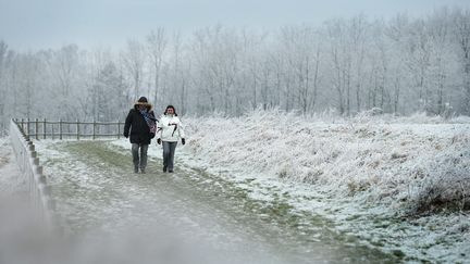 Des promeneurs près de Lille (Nord), le 1er janvier 2017. (MAXPPP)