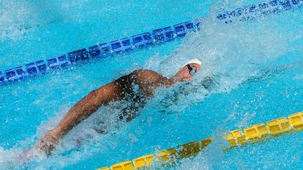 Florent Manaudou a réalise le doublé 50-100m libre en l'espace de trois jours. (ANDREAS SOLARO / AFP)