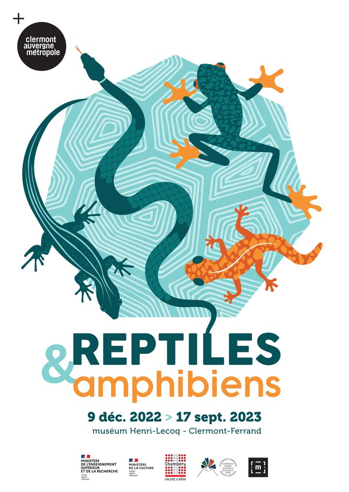 "Reptiles et amphibiens", jusqu'au 17 septembre 2023. (DR / muséum Henri-Lecoq)