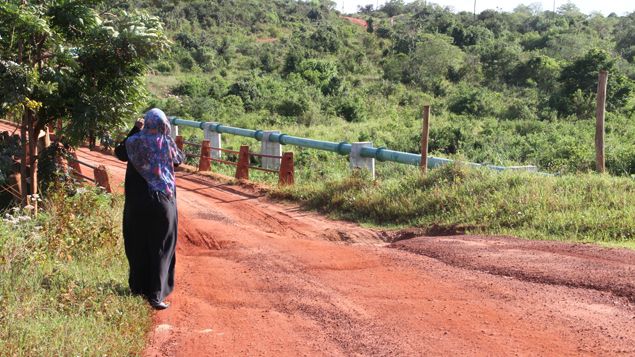 &nbsp; (Dans le parc de Shimba Hills, un ancien pipeline au second plan © Radio France / Clara Beaudoux)