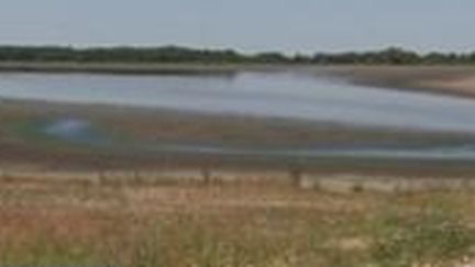 La canicule risque encore d'aggraver la sécheresse qui sévit en France. La situation est critique dans de nombreuses régions, mettant notamment en péril les poissons. (France 3)