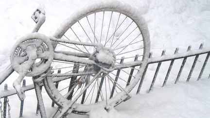 La neige à Montréal au Canada (DUPUIS JEAN-FRANCOIS / MAXPPP)