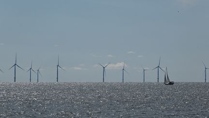 Wind turbines at sea, in Loire-Atlantique, September 30, 2022. (DAMIEN MEYER / AFP)