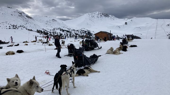 La randonnée dure trente minutes. Elle débute sur le plateau du Dou du Praz, en haut de Plagne Village. (INGRID POHU / RADIOFRANCE)