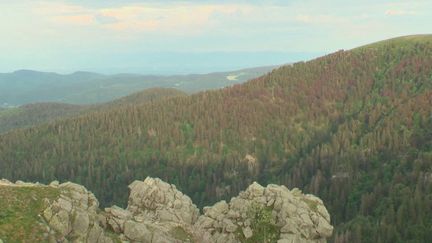 Vosges : le bol d'air sur la route des Crêtes