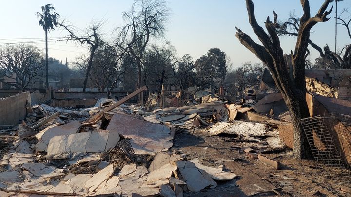 Altadena, un des quartiers de Los Angeles, particulièrement touché par les incendies de Los Angeles en janvier 2024. (LAURENT MACCHIETTI / FRANCEINFO / RADIO FRANCE)