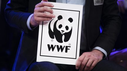 Huit associations environnementales, dont le WWF, lancent un appel au nouveau président Emmanuel Macron. (VINCENT ISORE / MAXPPP)