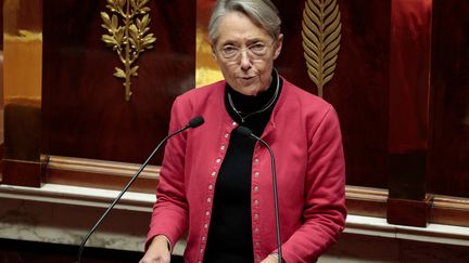 La première ministre Elisabeth Borne annonce l'utilisation de l'article 49-3 de la Constitution devant l'Assemblée nationale, le 21 novembre 2022. (GEOFFROY VAN DER HASSELT / AFP)