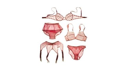 Les thématiques abordées : C
	- Corset mon amour ! Les débuts
	- Blanc, chair, rose, la gaine ! Le triomphe de la gaine
	- Premières parures de lingerie Les glorieuses années 1950
 (Gilles Berquet)