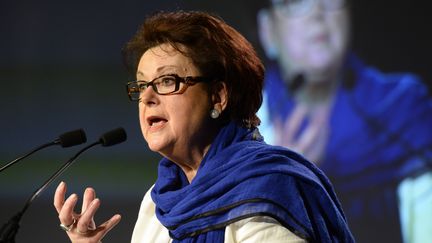 Christine Boutin, pr&eacute;sidente d'honneur du Parti chr&eacute;tien-d&eacute;mocrate, lors d'un meeting de campagne le 17 mai 2014 &agrave; Paris. (BERTRAND GUAY / AFP)