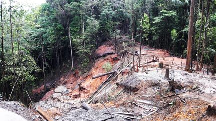 À Cacao en Guyane, la fôret est dévastée par la ruée vers l’or en juin 2019.&nbsp; (CÉLIA QUILLERET / FRANCE-INTER)