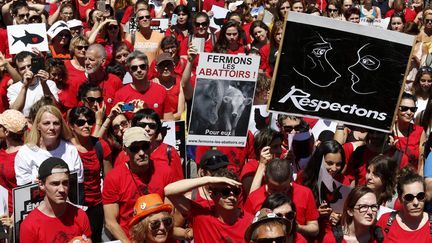 Manifestants à Paris pour la fermeture des abattoirs en France, le 10 juin 2017 à Paris.&nbsp; (GEOFFROY VAN DER HASSELT / AFP)