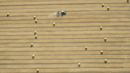 Vue a&eacute;rienne d'un tracteur dans un champ pr&egrave;s d'Hildesheim (Allemagne), le 18 ao&ucirc;t 2012. (NIGEL TREBLIN / AP / SIPA)