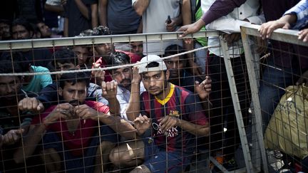 Des migrands attendent  d'être enregistrés, derrière une barrière à l'extérieur d'un poste de police sur l'île de Kos.
 (Angelos Tzortzinis / AFP)