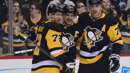 Les Pittsburgh Penguins (NHL). (MATT KINCAID / GETTY IMAGES NORTH AMERICA)