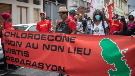 Une manifestation en Martinique pour demander justice dans l'affaire du chlordécone, le 28 mai 2022. (FANNY FONTAN / HANS LUCAS)