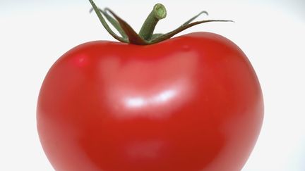 Hauts-de-France : une serre gigantesque pour produire des tomates