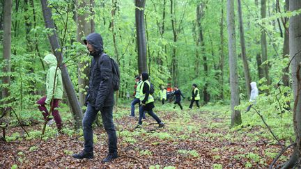 &nbsp; (Dimanche dernier, une grande battue avait été organisée dans la forêt de l'Isle-Adam, toute proche du lieu de la disparition © MaxPPP)