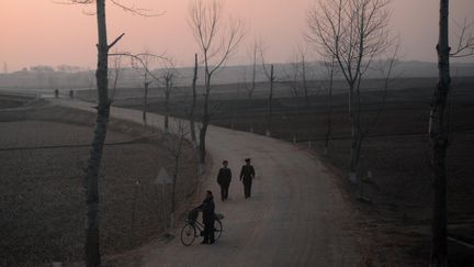 Cette r&eacute;gion est la plus privil&eacute;gi&eacute;e du pays, le grenier &agrave; riz et &agrave; c&eacute;r&eacute;ales de la Cor&eacute;e du Nord. Au Nord-Est, les conditions sont plus difficiles et la population locale souffre de malnutrition chronique. (PEDRO UGARTE / AFP)